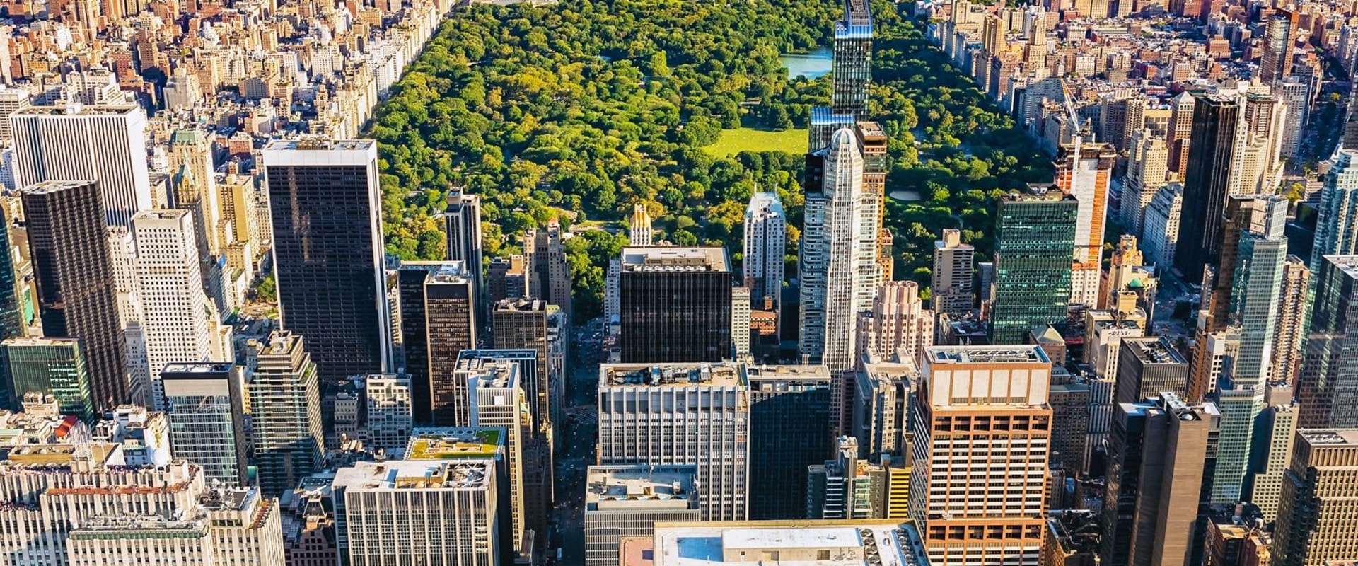 Navigating Cash Needs in New York: What You Should Know